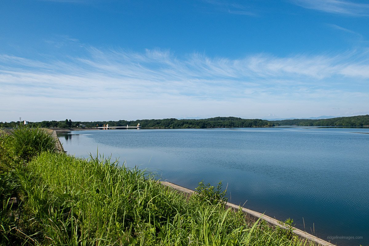 🏞️ 사야마 공원 (사야마 코엔)